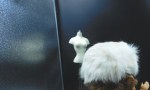 white fur hat view